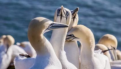 开yun体育-《《堡垒之夜》加入科幻元素，推出新赛季》，《堡垒之夜》视频解说