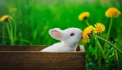 开yun体育-《《堡垒之夜》加入科幻元素，推出新赛季》，《堡垒之夜》视频解说